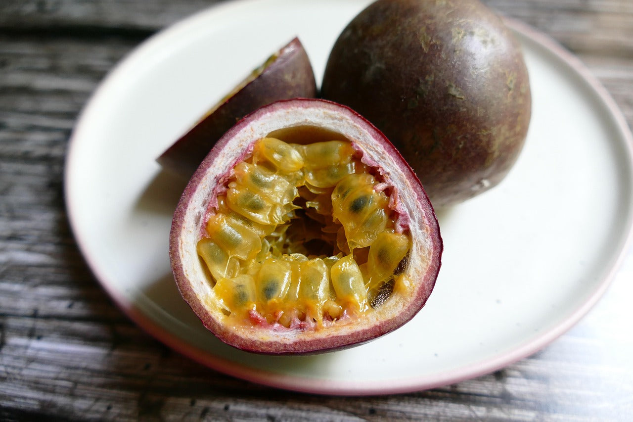 Passionfruit Purple Possom (Passiflora Edulis) Starter Plant - Fast-Growing - Edible - Tropical Vine - Hardy