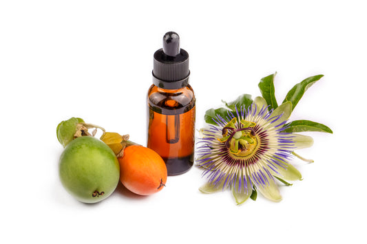 2-Pack Passiflora Maypop Vine Starter Plant – Native Passionflower Plant | Cold-Hardy Pollinator-Friendly Perennial