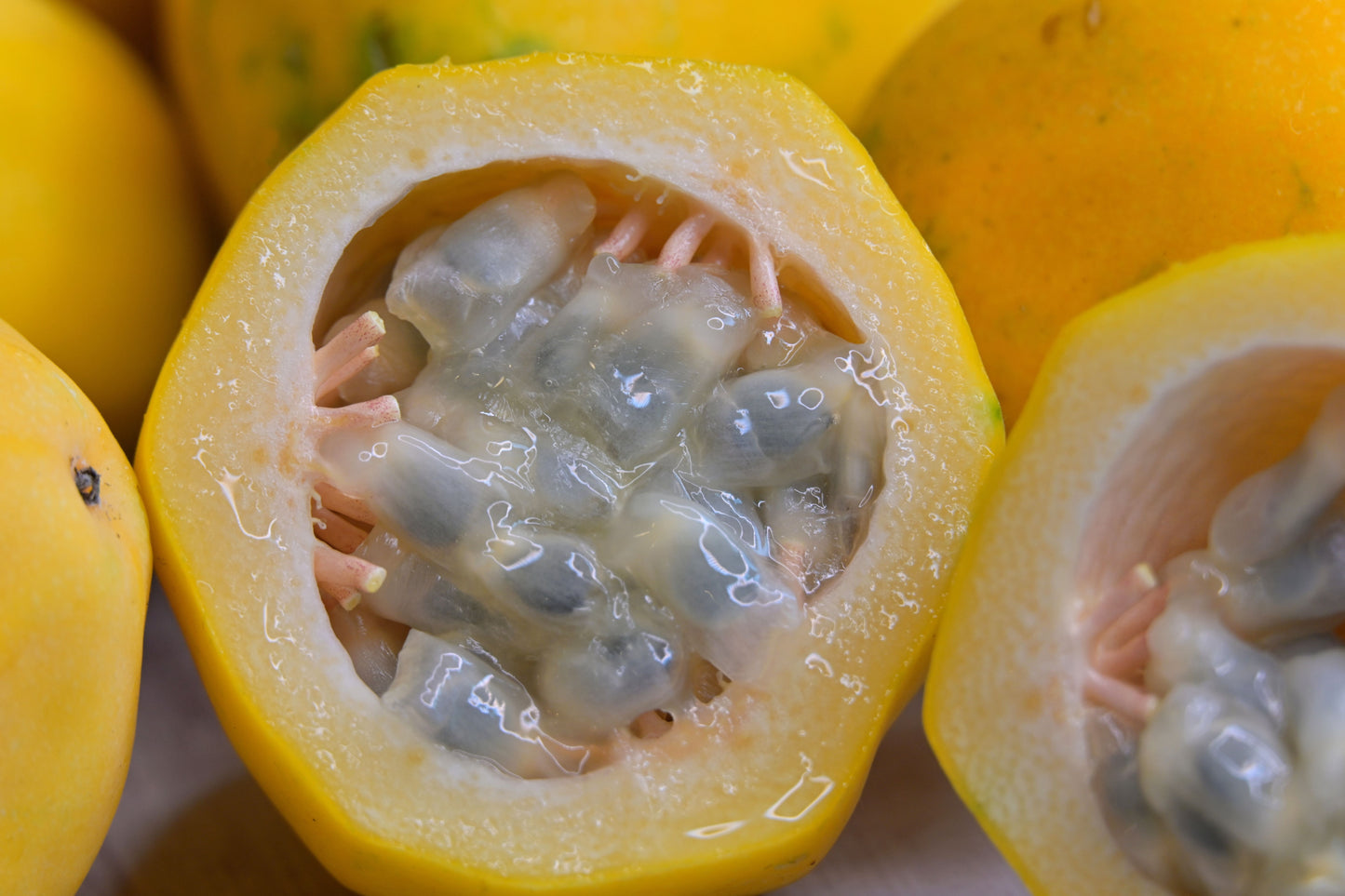 2-Pack Sweet Sunrise Passionfruit (Passiflora edulis 'Sweet Sunrise') Starter Plant– Tropical Vine for Golden, Aromatic Fruit