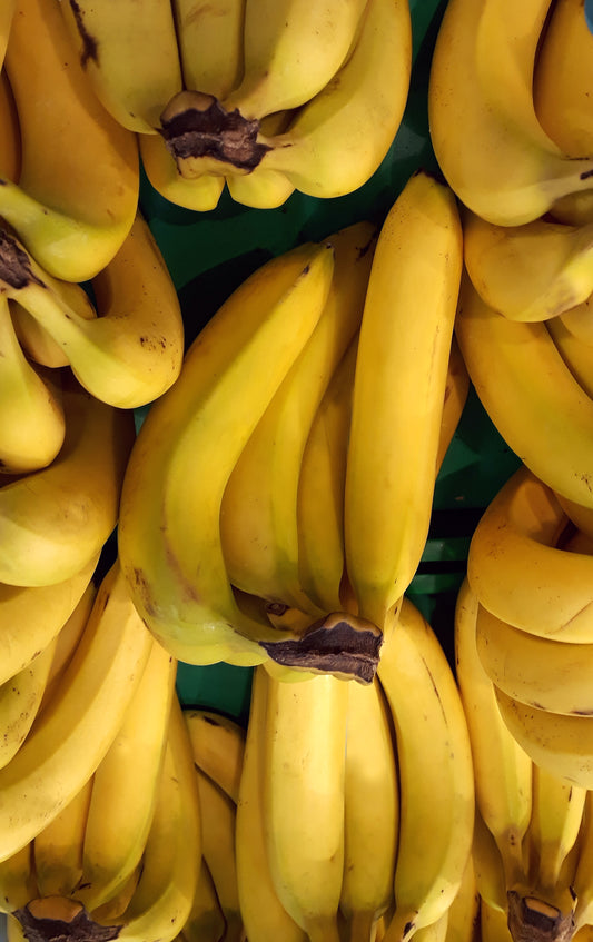 Banana Tree 'Grand Nain' (Musa acuminata) Starter Plant - Fast-growing, edible fruit - Cold-hardy - Perfect for Gardens - Same variety as Chiquita Banana - High Yielding