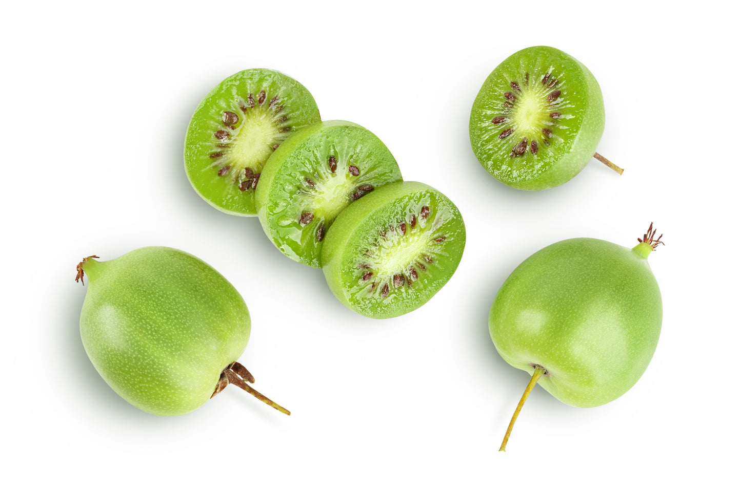 2-Pack Cold-Hardy Kiwi Berry (Actinidia arguta 'Prolific') – Self-Fertile Vine with Bite-Sized, Sweet Fruit STARTER PLANT